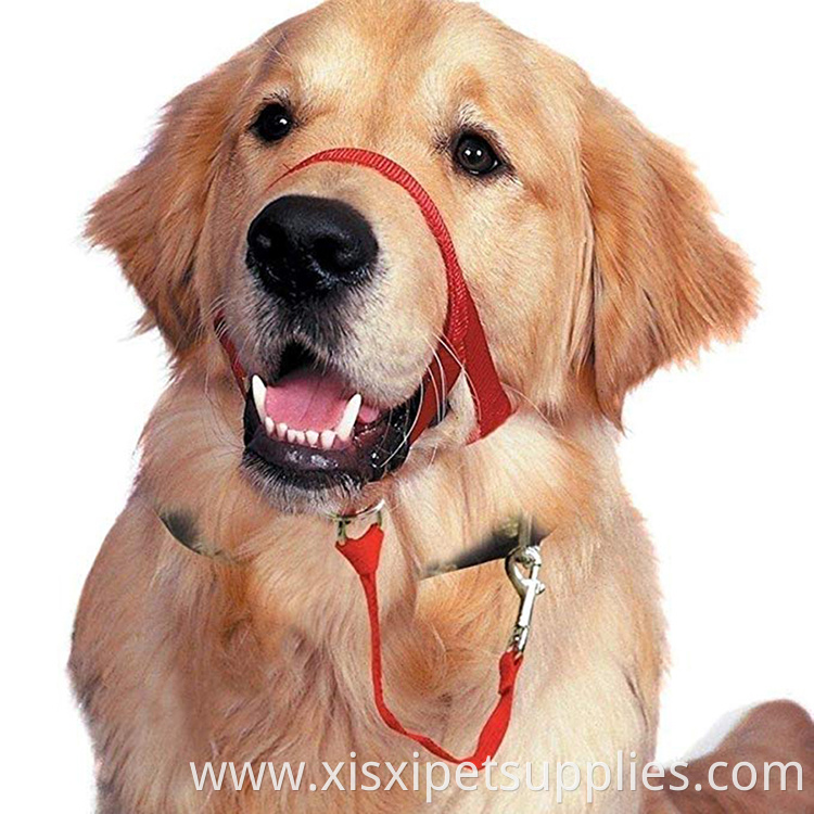 Durable Best Selling Dog Head Collar No Pull Training Tool for Dogs COLLARS Personalized Nylon Quick Release Padded All Seasons